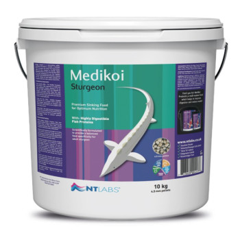 Medikoi - Sturgeon Medikoi - Sturgeon